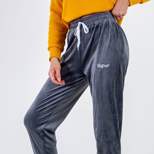 Сірі велюрові спортивні штани з вишитим написом - Одяг